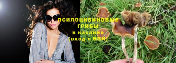 каннабис Няндома