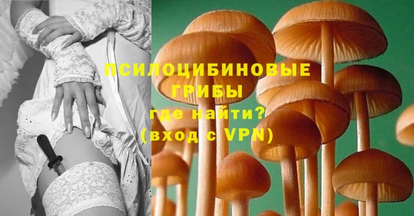 спайс Абаза